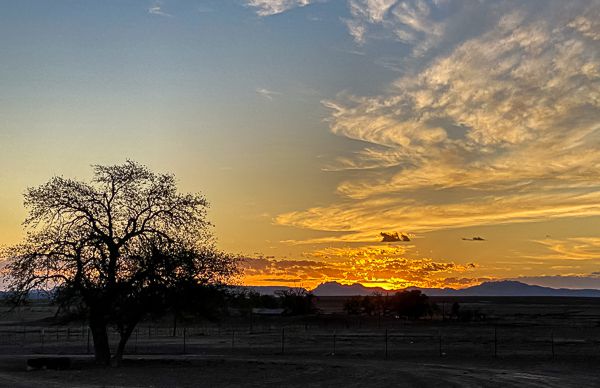 Good Friday on the Miller Ranch